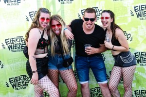 0036 Electro Wiese