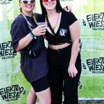 0037 Electro Wiese