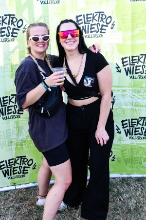 0037 Electro Wiese