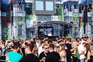 0039 Electro Wiese