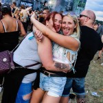 0043 Electro Wiese