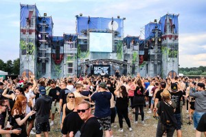 0044 Electro Wiese