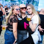 0045 Electro Wiese