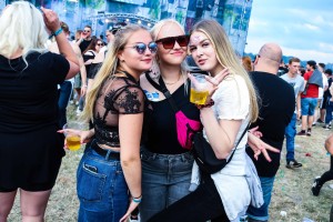 0045 Electro Wiese