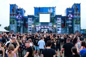 0046 Electro Wiese