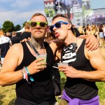 0054 Electro Wiese
