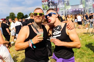 0054 Electro Wiese