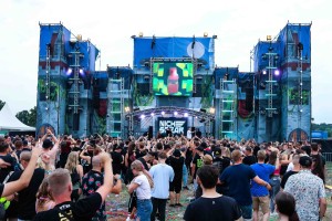 0055 Electro Wiese
