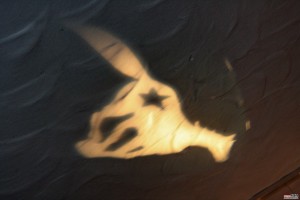 0010