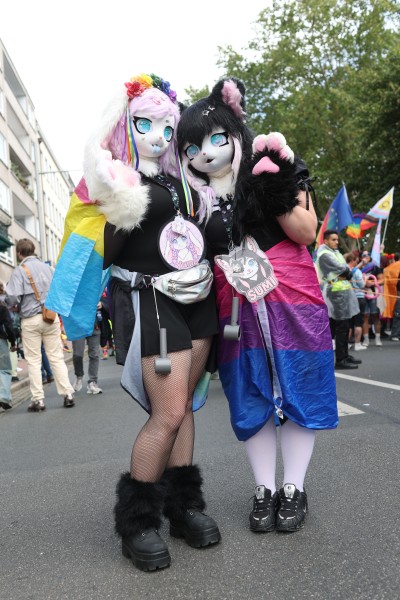 csd26