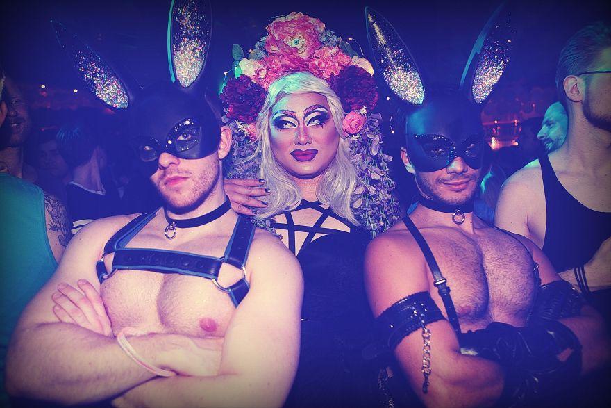 queerbunnys 2017