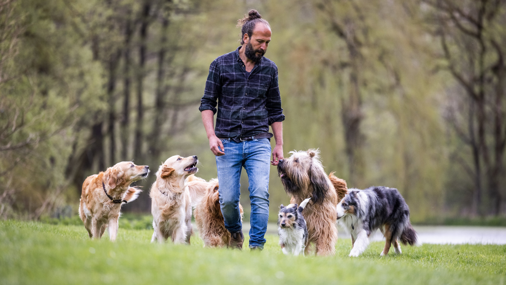 Sami El Ayachi – Der zugewandte Hund!