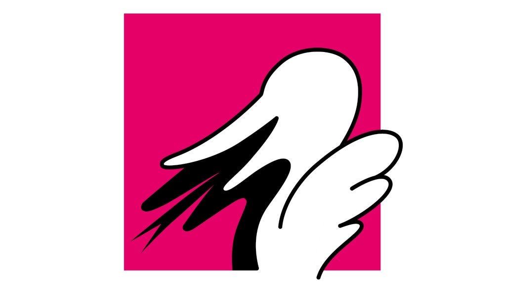 WIRSING – Bunt ist schon der Wirsing!