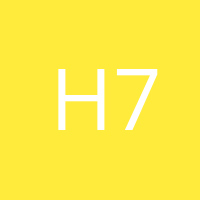 Halle 7