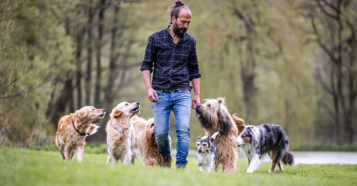 Sami El Ayachi – Der zugewandte Hund!