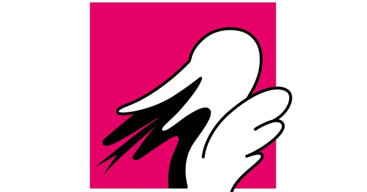 WIRSING – Bunt ist schon der Wirsing!